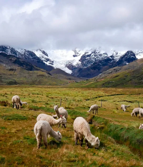 Ausangate Trek