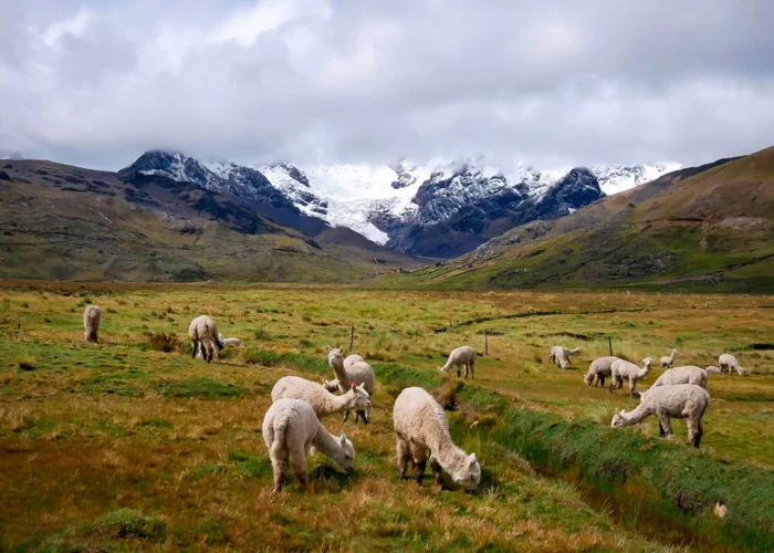 Ausangate Trek