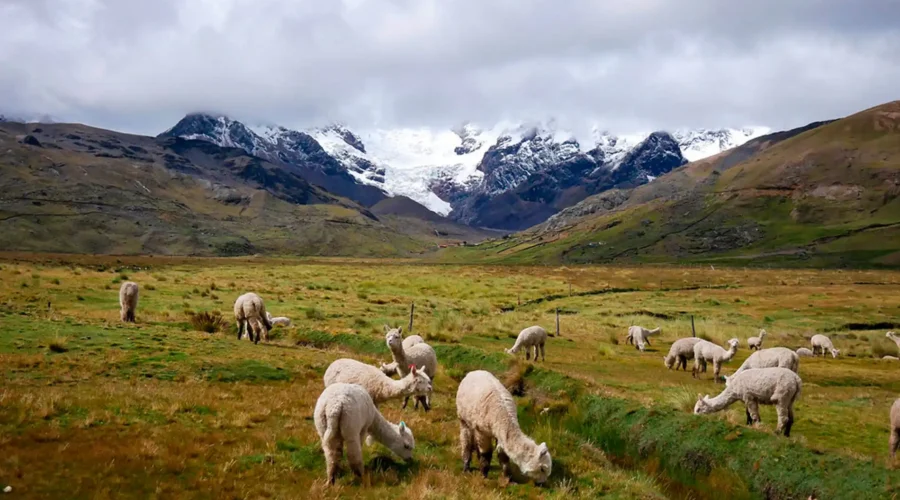 Ausangate Trek